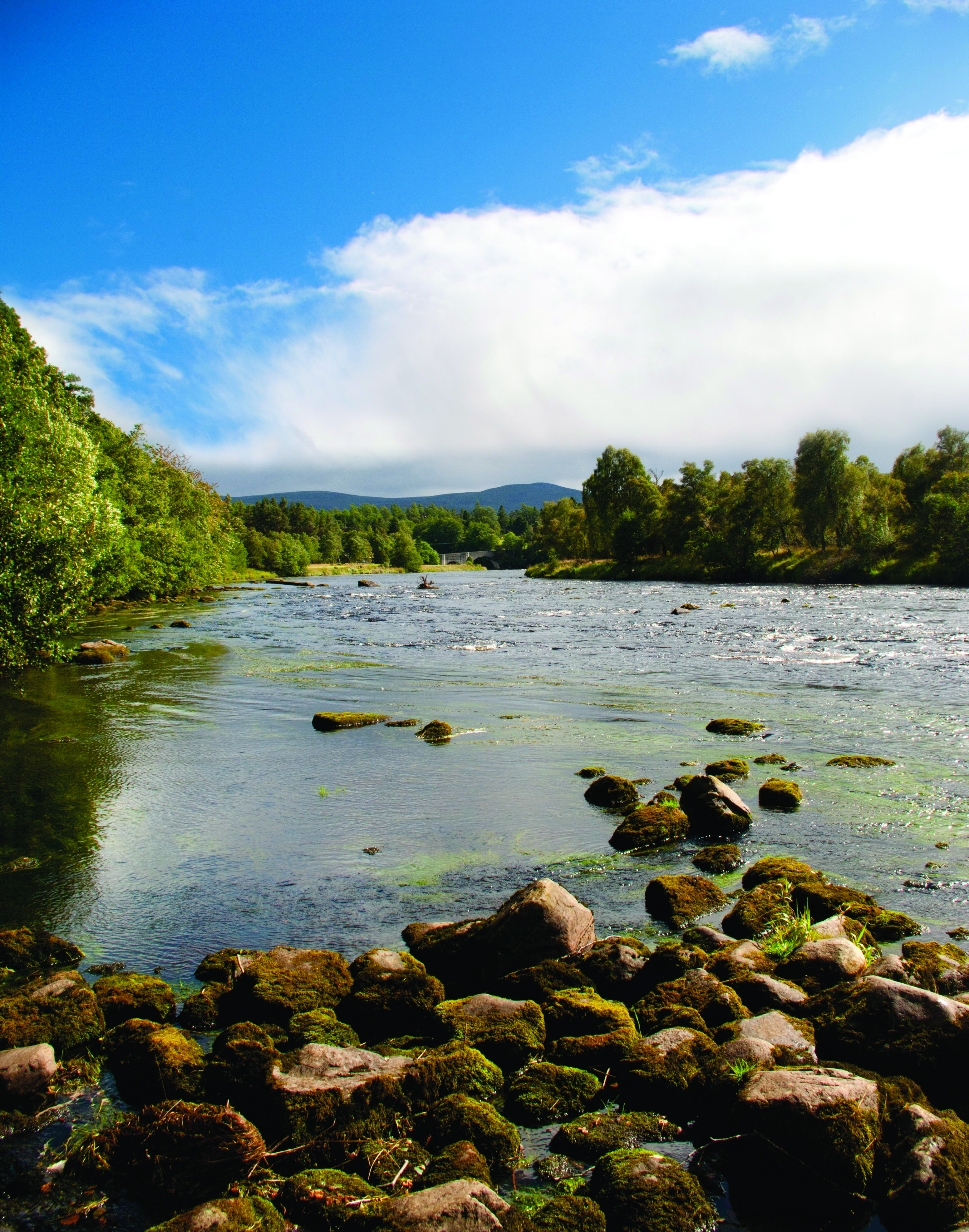 Craiglynne Hotel Grantown-on-Spey Eksteriør billede
